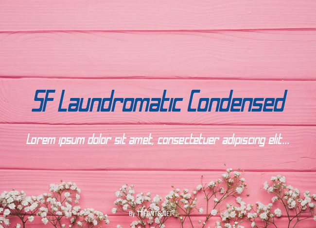 SF Laundromatic Condensed example